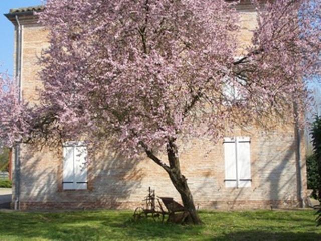 Bed and Breakfast Le Platane Lafrançaise Zewnętrze zdjęcie